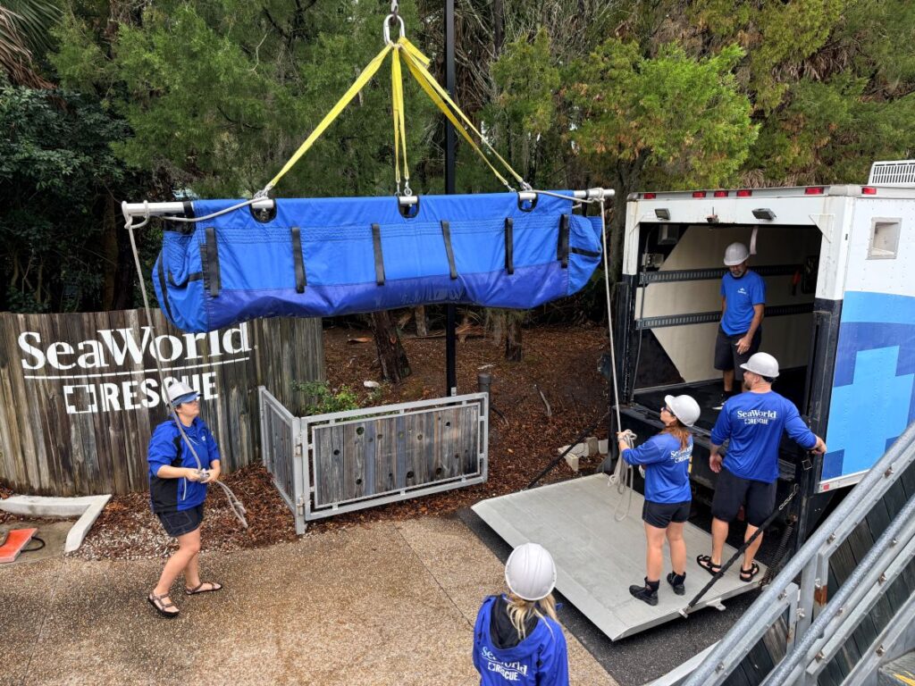 SeaWorld rescue milestone