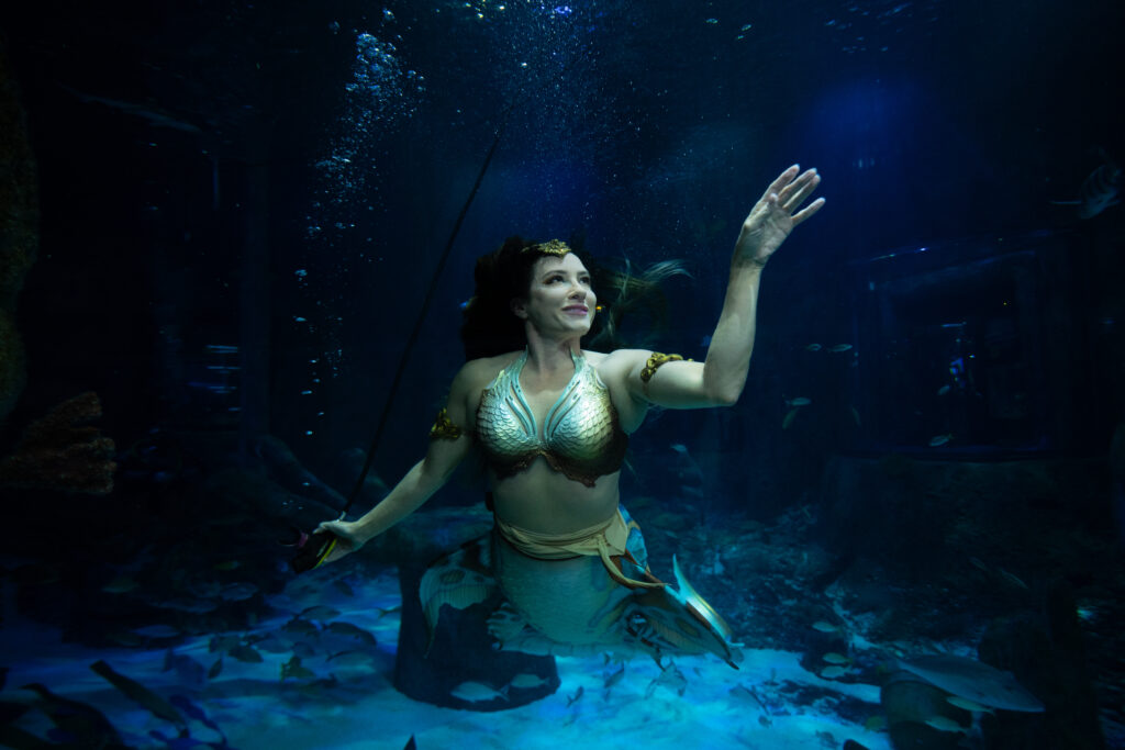 Mermaid swimming ion the water