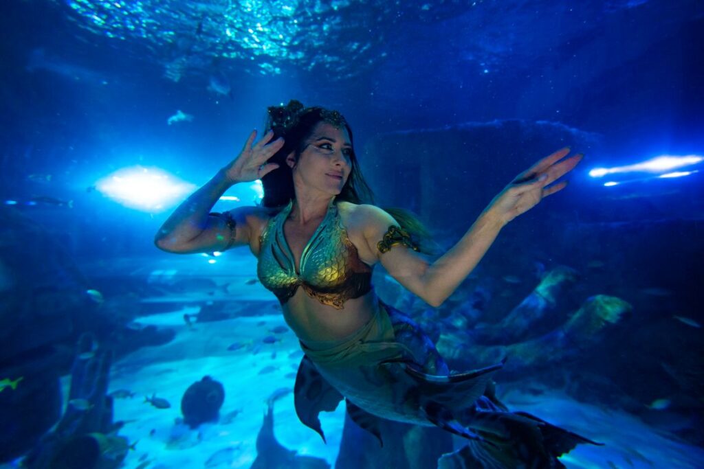 SEA LIFE Orlando Mermaid Event