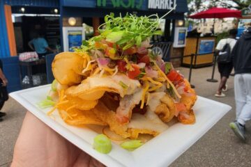 Pub Nachos
