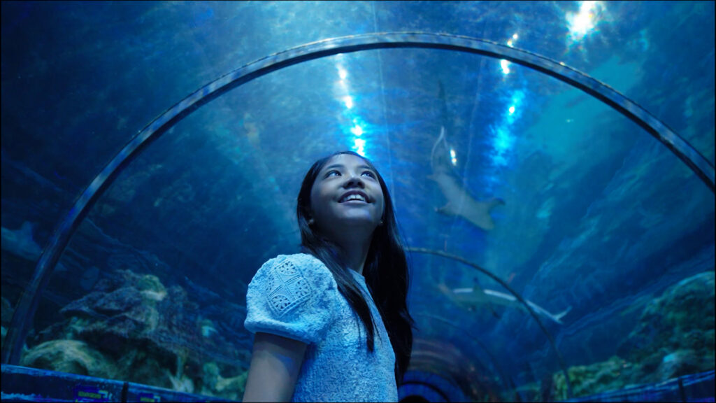 Girl in a curved glass underwater tunnel, smiling as she looks up at the blue aquatic scenery.