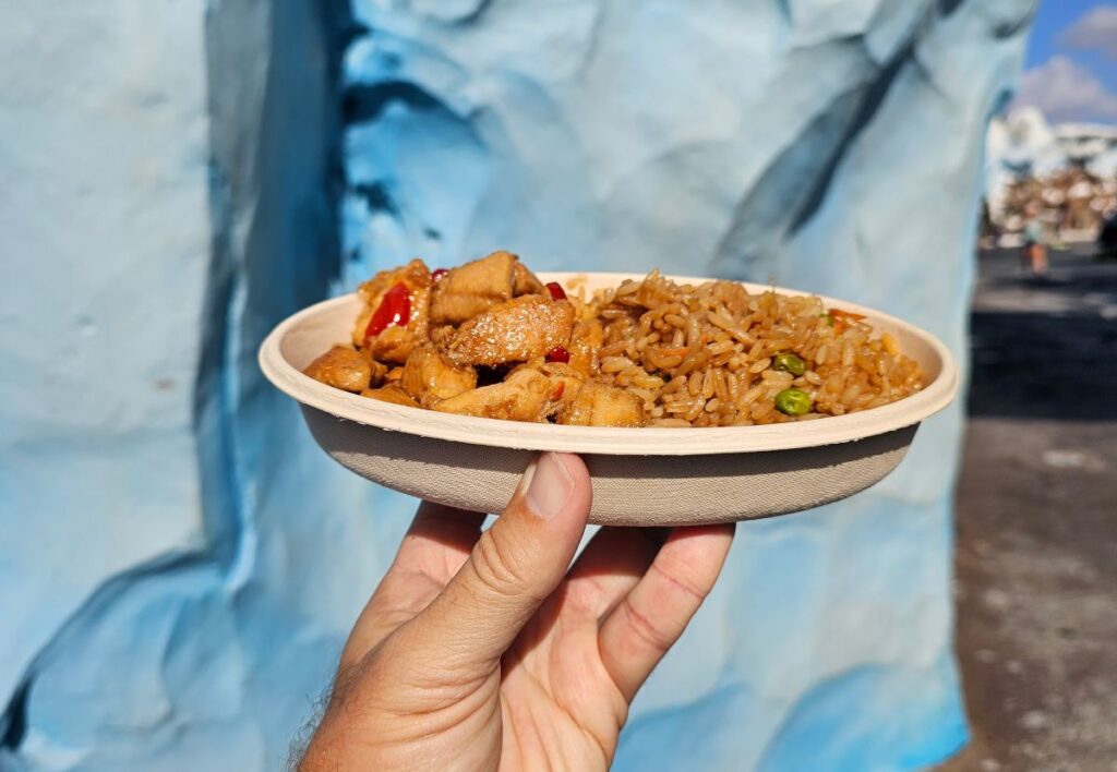 Teriyaki Chicken SeaWorld Orlando