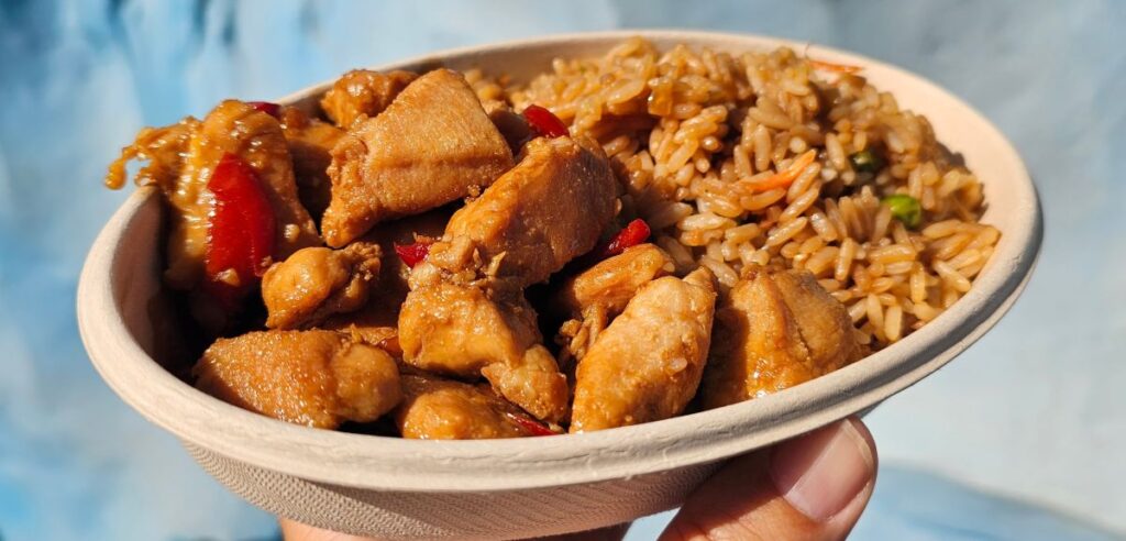 Teriyaki Chicken SeaWorld Orlando