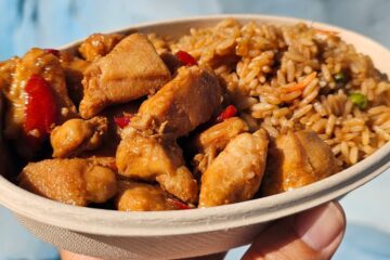 Teriyaki Chicken SeaWorld Orlando