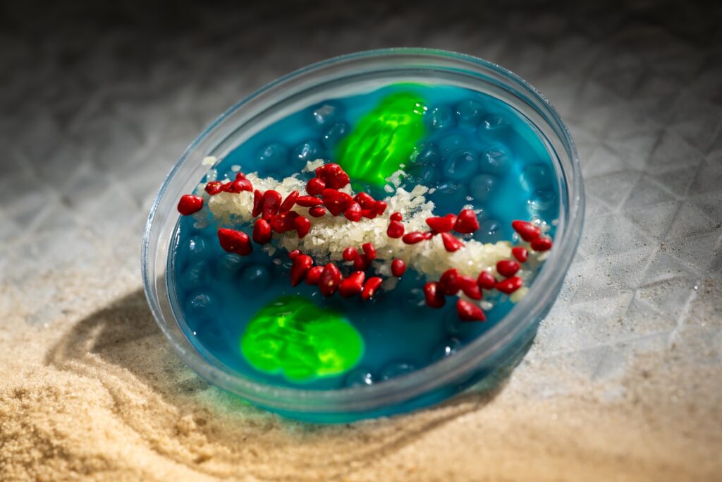 Blue slime in a clear container with red seed-like bits and sugar crystals resting on a sandy surface, with a green glow visible inside the slime.