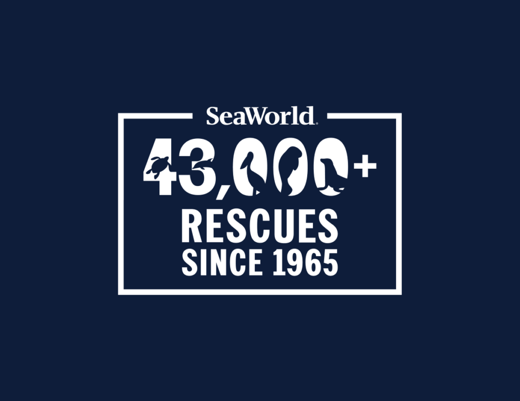 SeaWorld logo on a navy background showing "43,000+ RESCUES SINCE 1965" inside a white rectangular frame with silhouettes of sea creatures around the numbers.