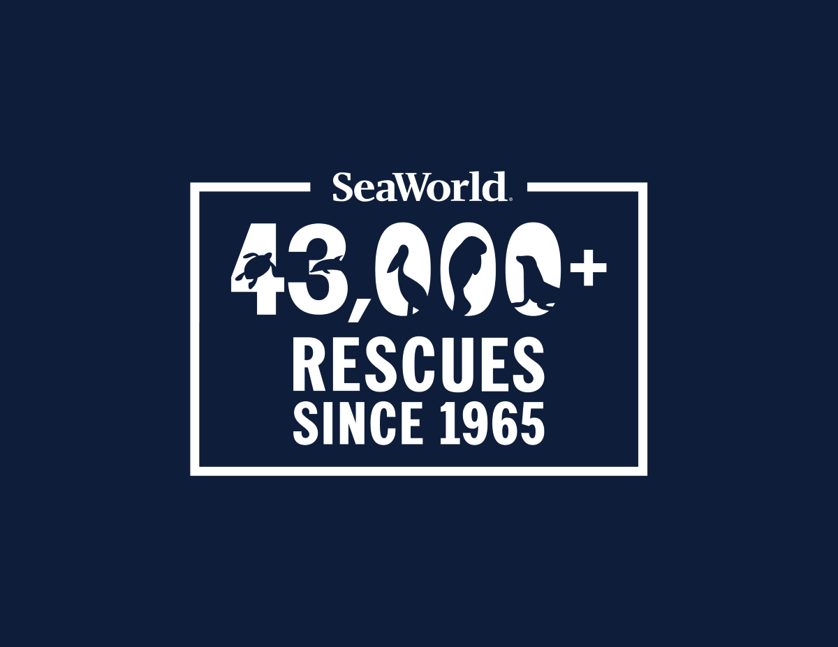 SeaWorld logo on a navy background showing "43,000+ RESCUES SINCE 1965" inside a white rectangular frame with silhouettes of sea creatures around the numbers.