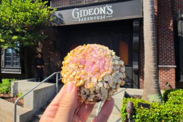Blueberry Lemonade Cookie
