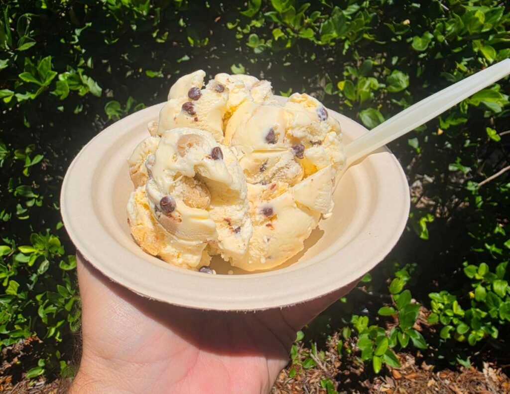 A hand holds a disposable bowl with scooped vanilla ice cream and chocolate chips outdoors in sunlight from Sunrise Sips and Scoops