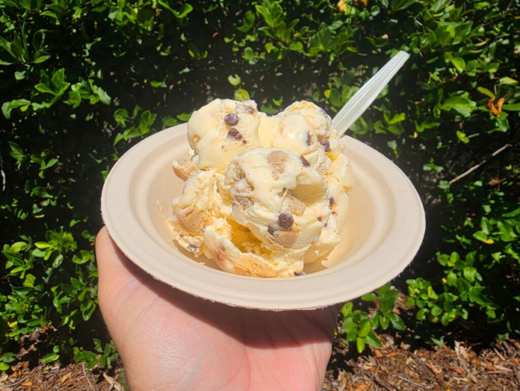Hand holding a beige disposable bowl with scoops of vanilla ice cream and chocolate chips outdoors.