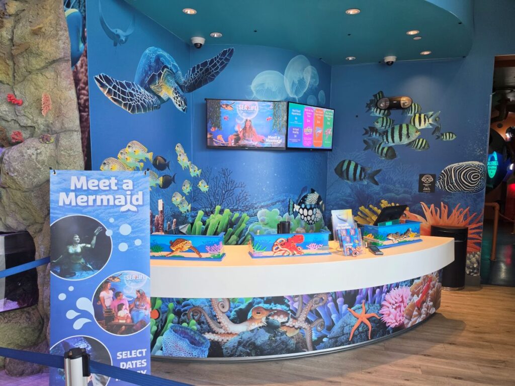 Sea Life Orlando mermaid event themed reception area with a curved counter, blue walls, sea life murals, and a prominent 'Meet a Mermaid' sign for a kid-friendly meet-and-greet event.