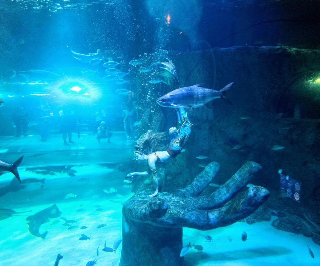 A girl in a mermaid tail sits on the palm of a large underwater statue hand in a blue aquarium, with fish swimming around for Sea Life Orlando mermaid event.