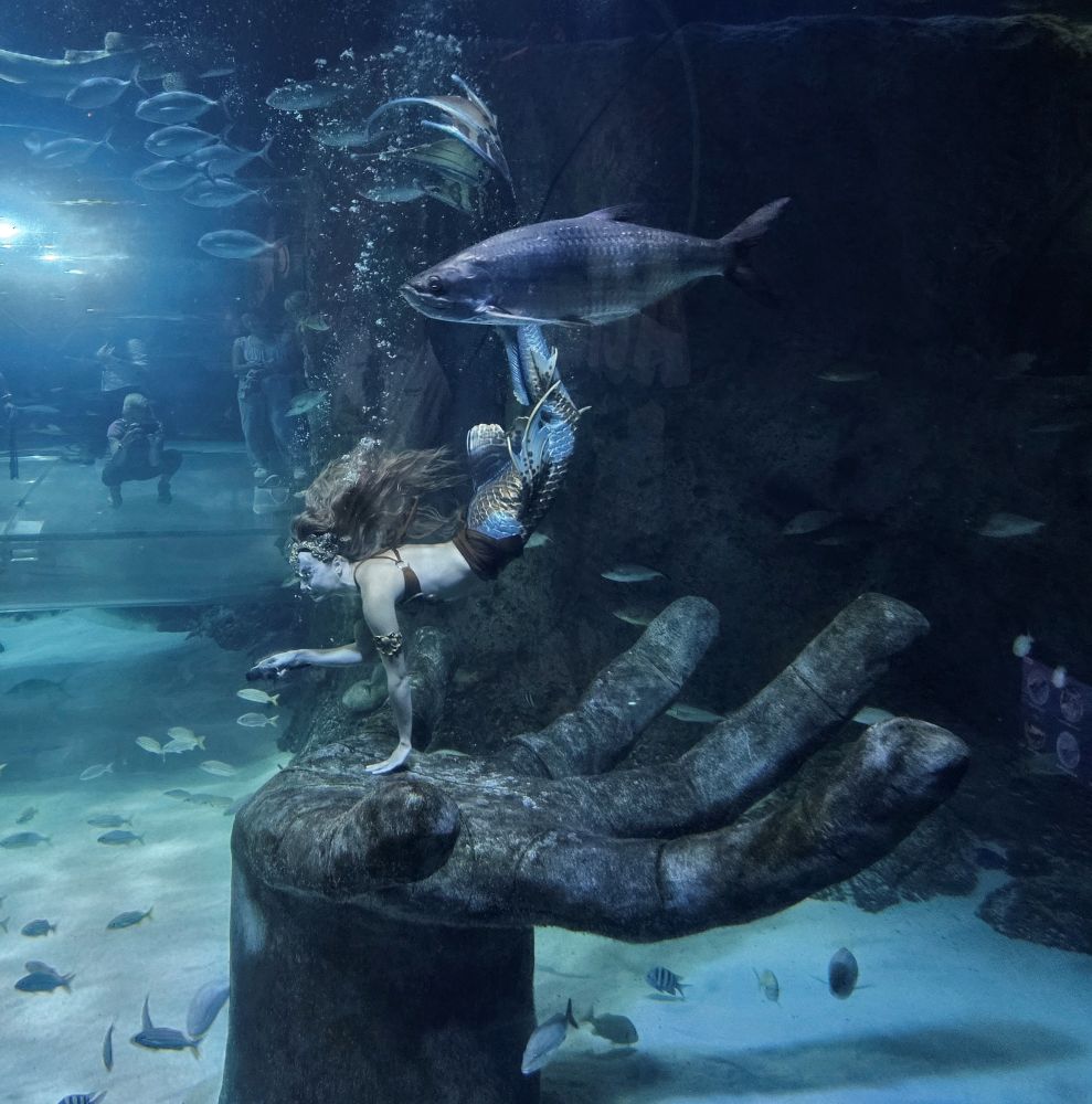 Mermaid swimmer perched on a large underwater hand statue in an aquarium, surrounded by fish.