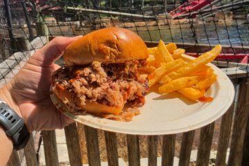 Plate with a pulled pork sandwich and a side of fries held outdoors near a fence over a body of water; sunny day for a Zambia Smokehouse review