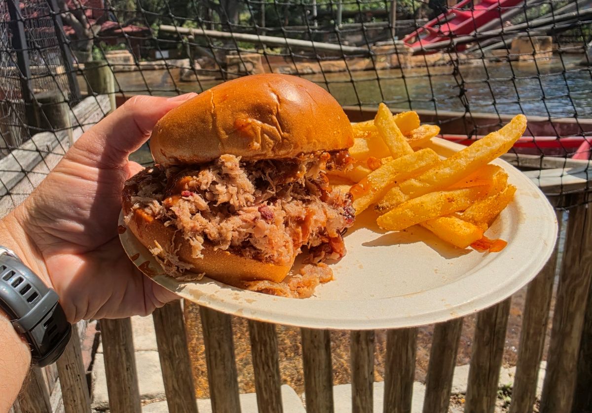 Plate with a pulled pork sandwich and a side of fries held outdoors near a fence over a body of water; sunny day for a Zambia Smokehouse review