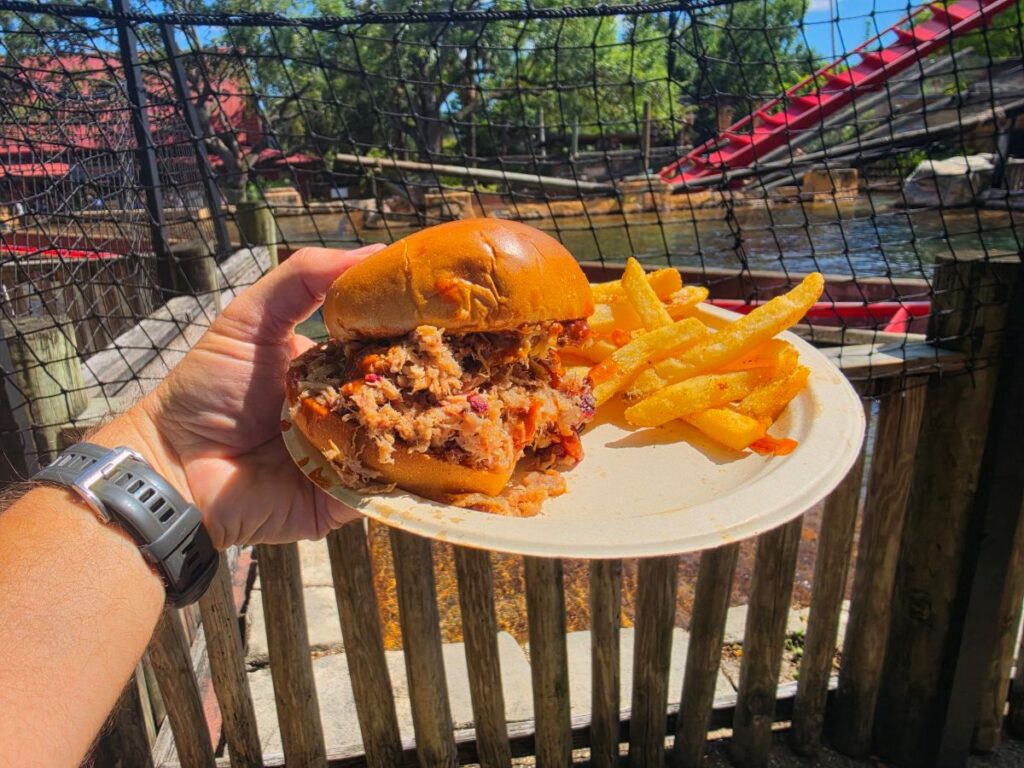 Close-up of a pulled pork sandwich with fries on a disposable plate, held outdoors near a fence over water for a Zambia Smokehouse review