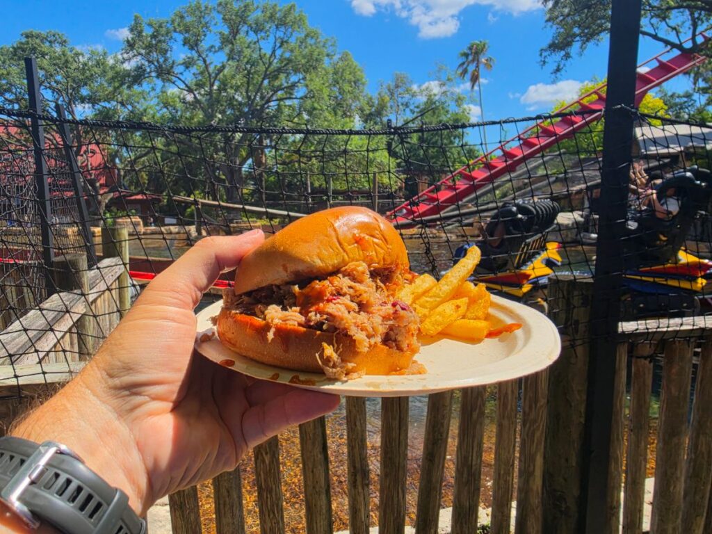 Person holding a pulled pork sandwich with fries on a white paper plate at an outdoor amusement park, with rides and a blue sky in the background.