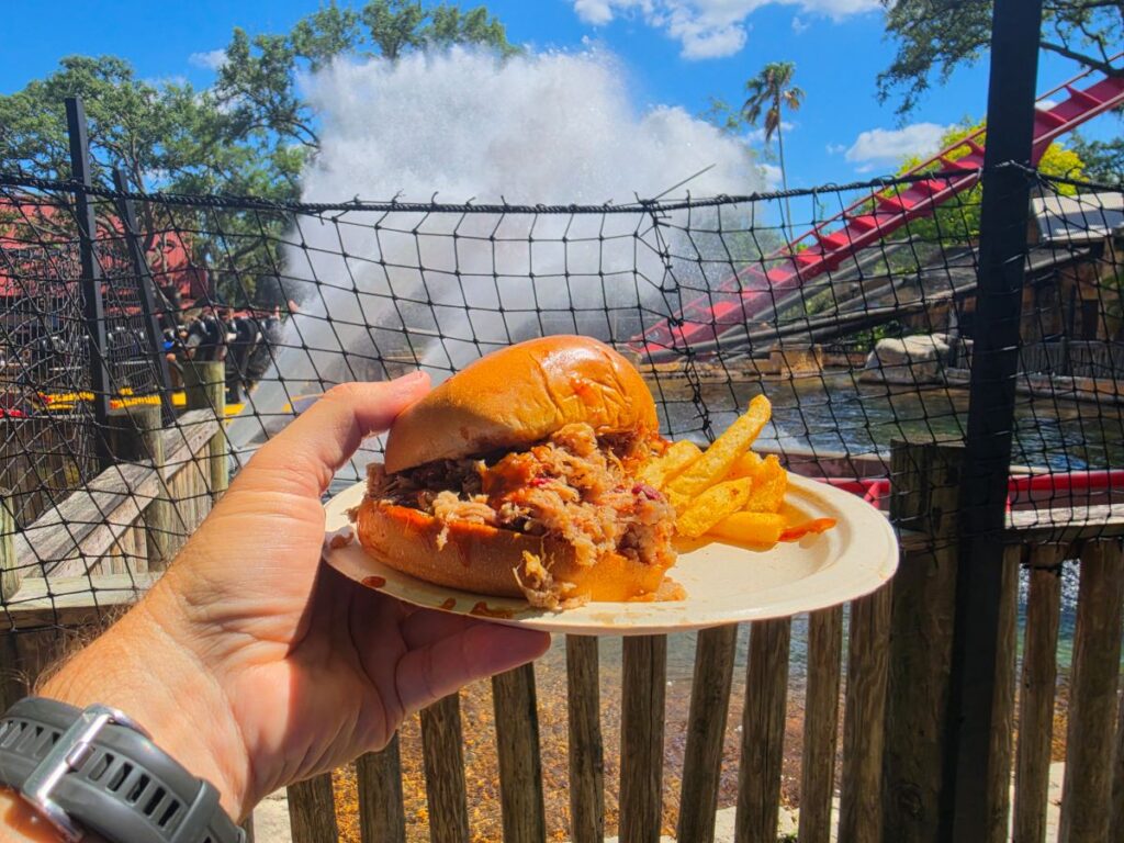 Hand holding a pulled pork sandwich with fries on a plate, outdoors near a splash fountain and wooden railing.