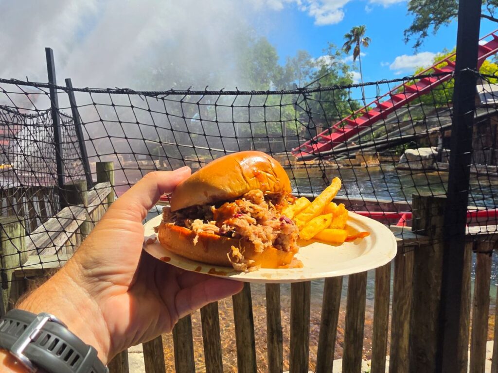 Hand holding a BBQ pulled pork sandwich on a bun with a side of fries on a paper plate, outdoors by a wooden fence and water slide in the background.