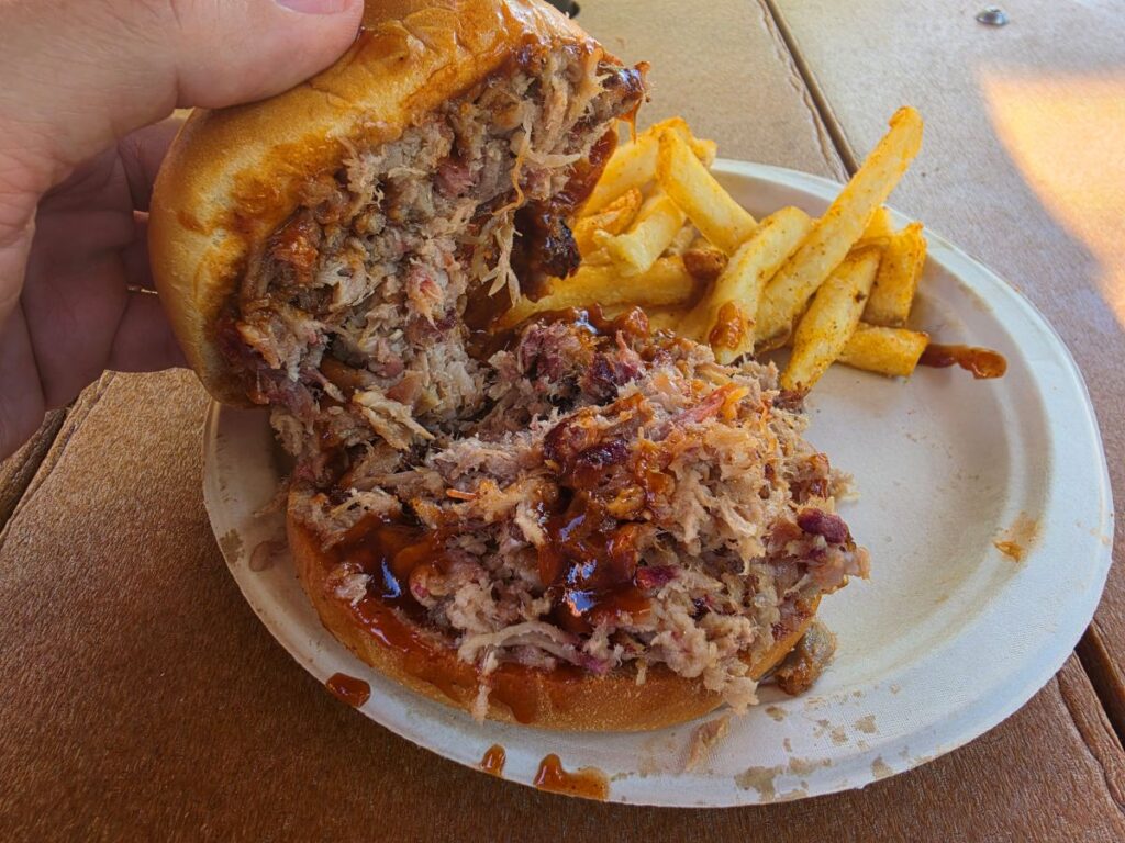 Pulled pork sandwich with barbecue sauce on a bun, served with seasoned French fries on a disposable plate for a Zambia Smokehouse review