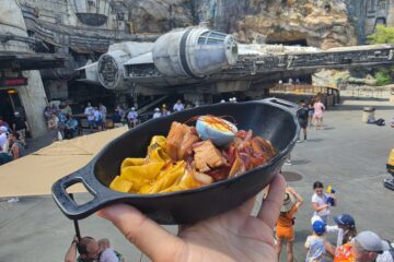 Close-up of a bowl of colorful pasta (yellow and reddish pieces) being held up, with a themed park and the Millennium Falcon ride in the background.