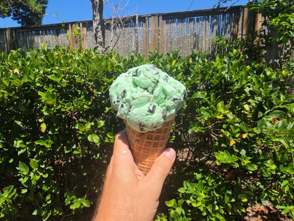 Hand holding a mint chocolate chip ice cream cone outdoors with green bushes and a wooden fence in bright sun from Sunrise Sips and Scoops