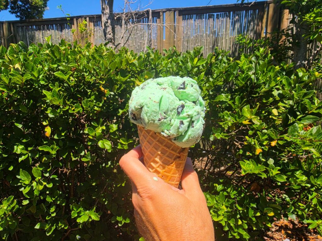 Hand holding a mint chocolate chip ice cream cone outdoors against green bushes and a wooden fence.