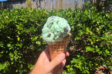 Mint chocolate chip ice cream cone held in a hand outdoors with a green hedge behind.