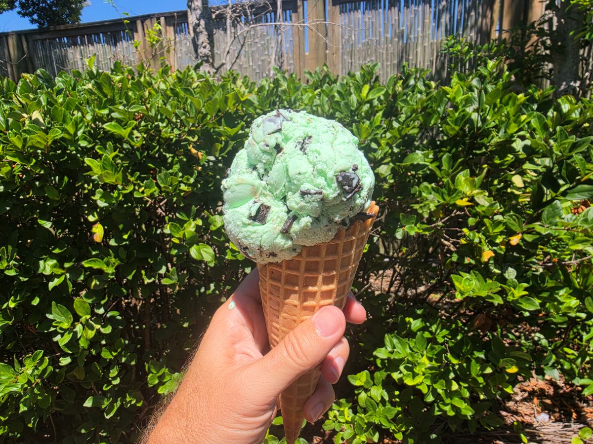 Mint chocolate chip ice cream cone held in a hand outdoors with a green hedge behind.