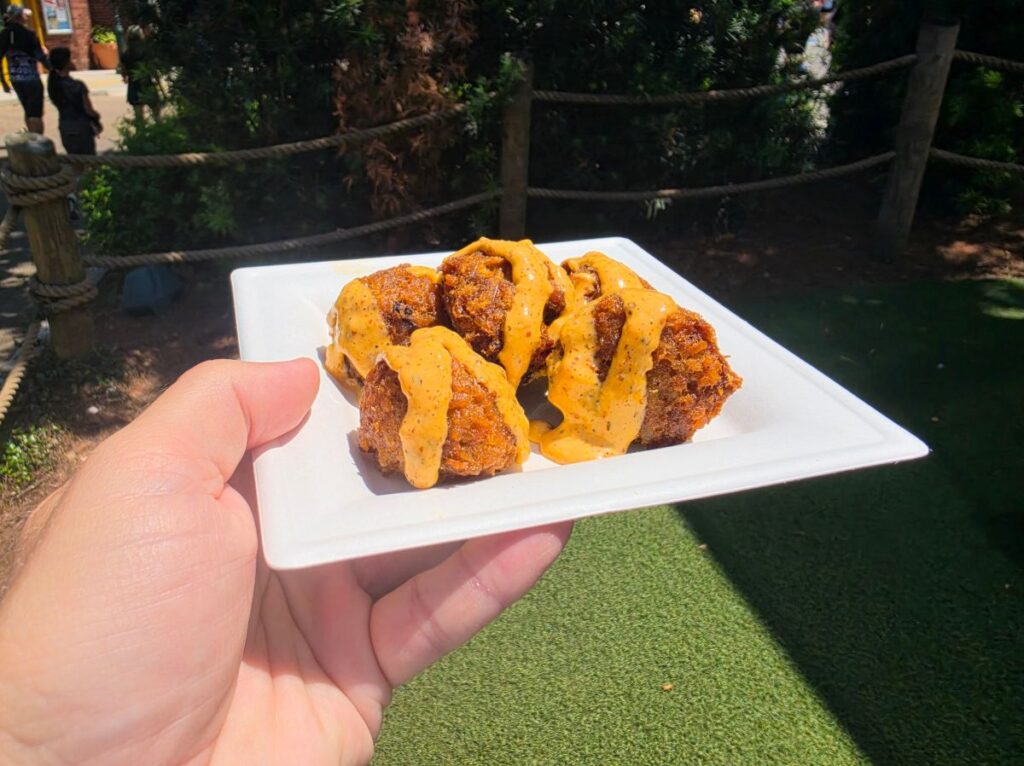 Hand holding a white plate with Pro Boudin Balls drizzled in remoulade sauce, outdoors near a rope fence.**