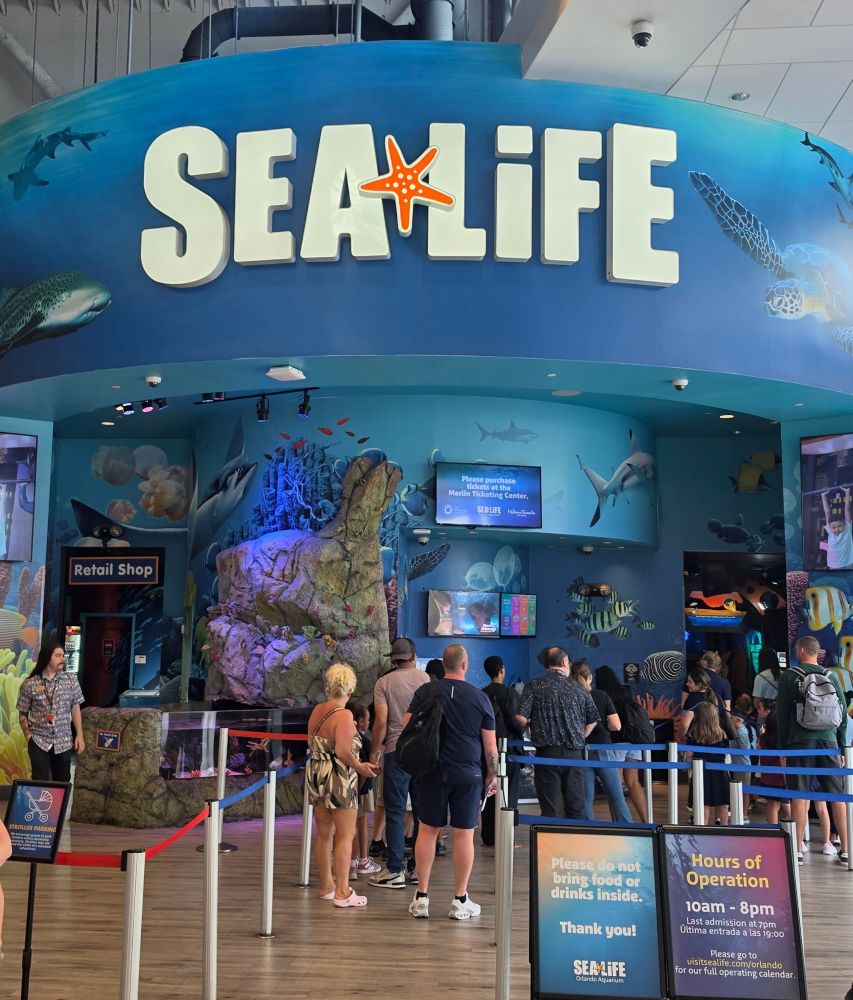 Entrance to SEA LIFE aquarium with a large blue wall and the SEA LIFE sign, and visitors queuing at the ticket area.