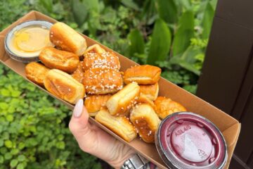 Bluey Pretzel review