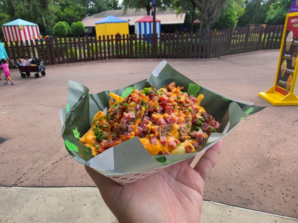 Messy Fries