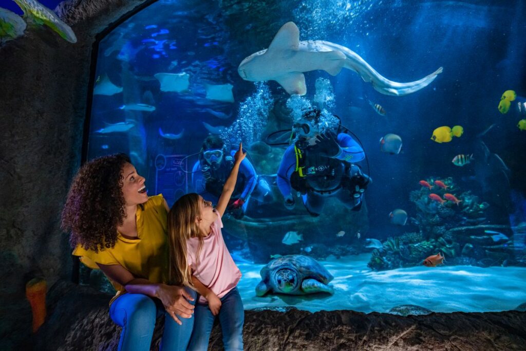 Photo inside Sea Life Florida showing people looking at sharks