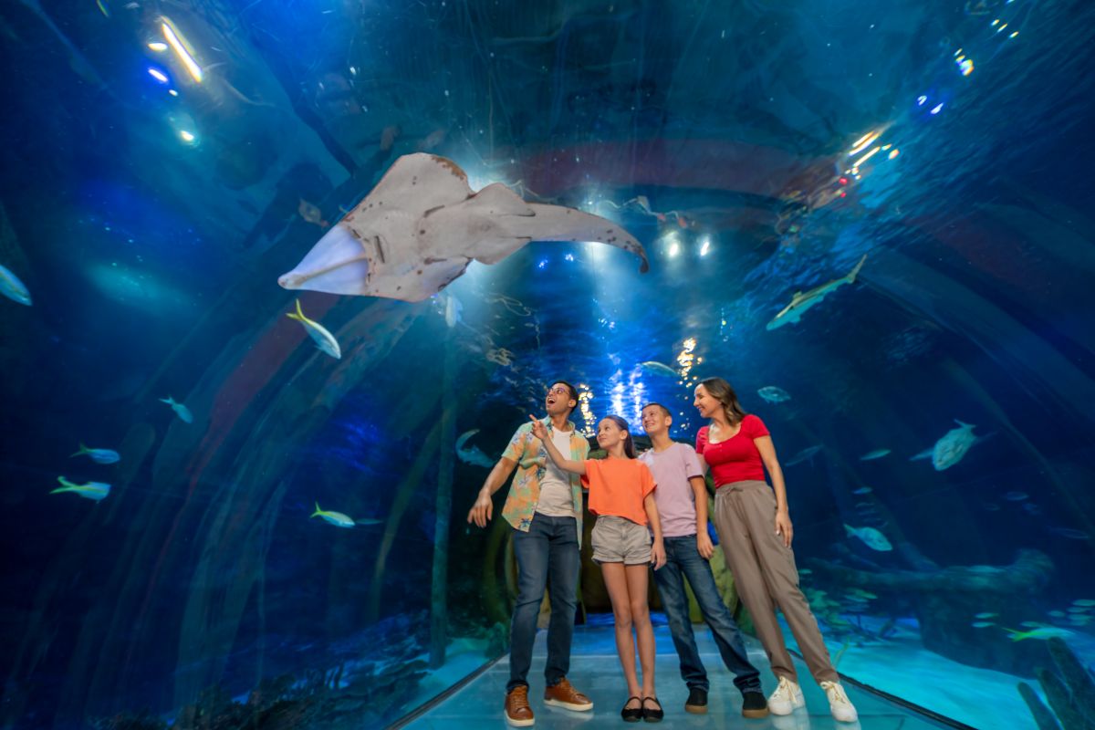 Sea Life Orlando