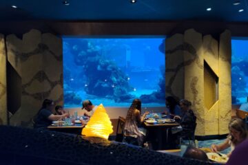Coral Reef Closing