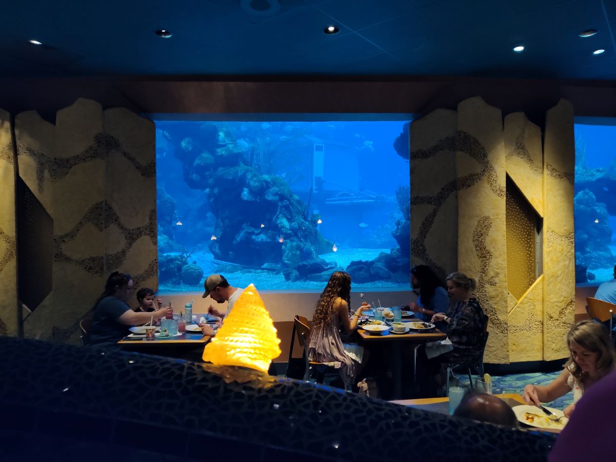 Coral Reef Closing
