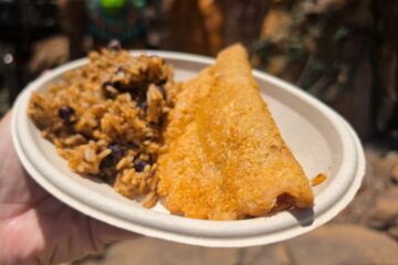Close-up shot of a hand holding an oval paper plate filled with a crisp, golden-brown empanada and a side of seasoned rice mixed with black beans.
