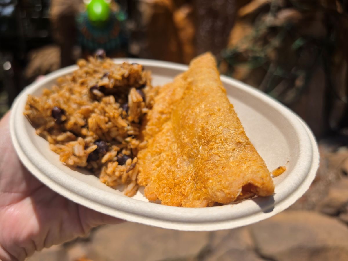 Close-up shot of a hand holding an oval paper plate filled with a crisp, golden-brown empanada and a side of seasoned rice mixed with black beans.