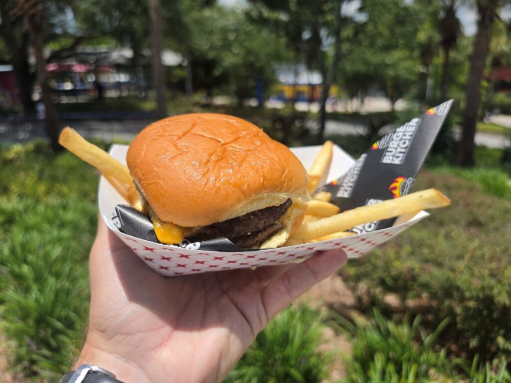 A hand holding a double cheeseburger and french fries in a paper tray, rotated to show the melted cheese oozing from the side of the burger patties for Double Cheeseburger review