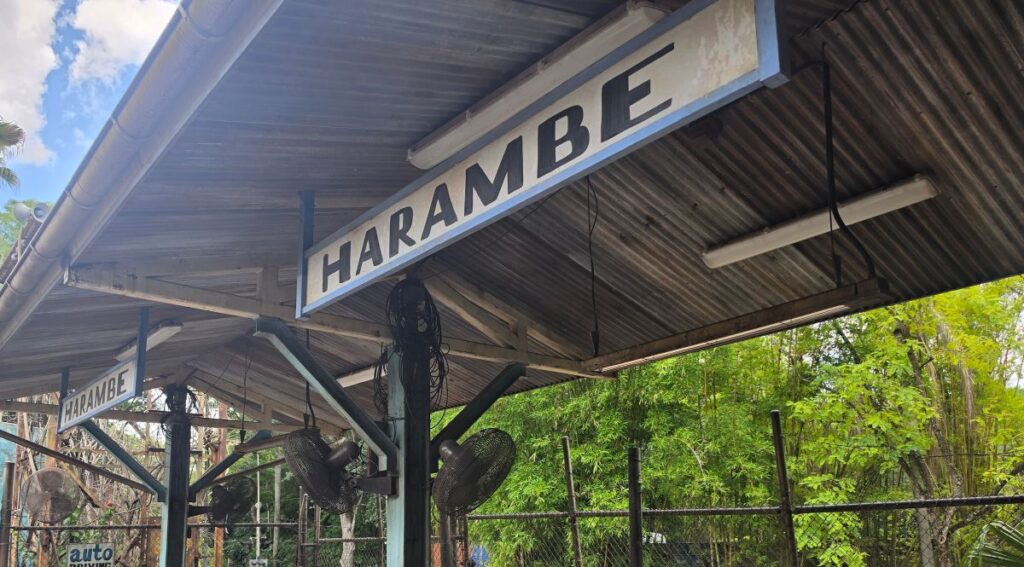 A rustic metal sign reading Harambe under a corrugated metal roof with outdoor ceiling fans at Disney's Animal Kingdom.
