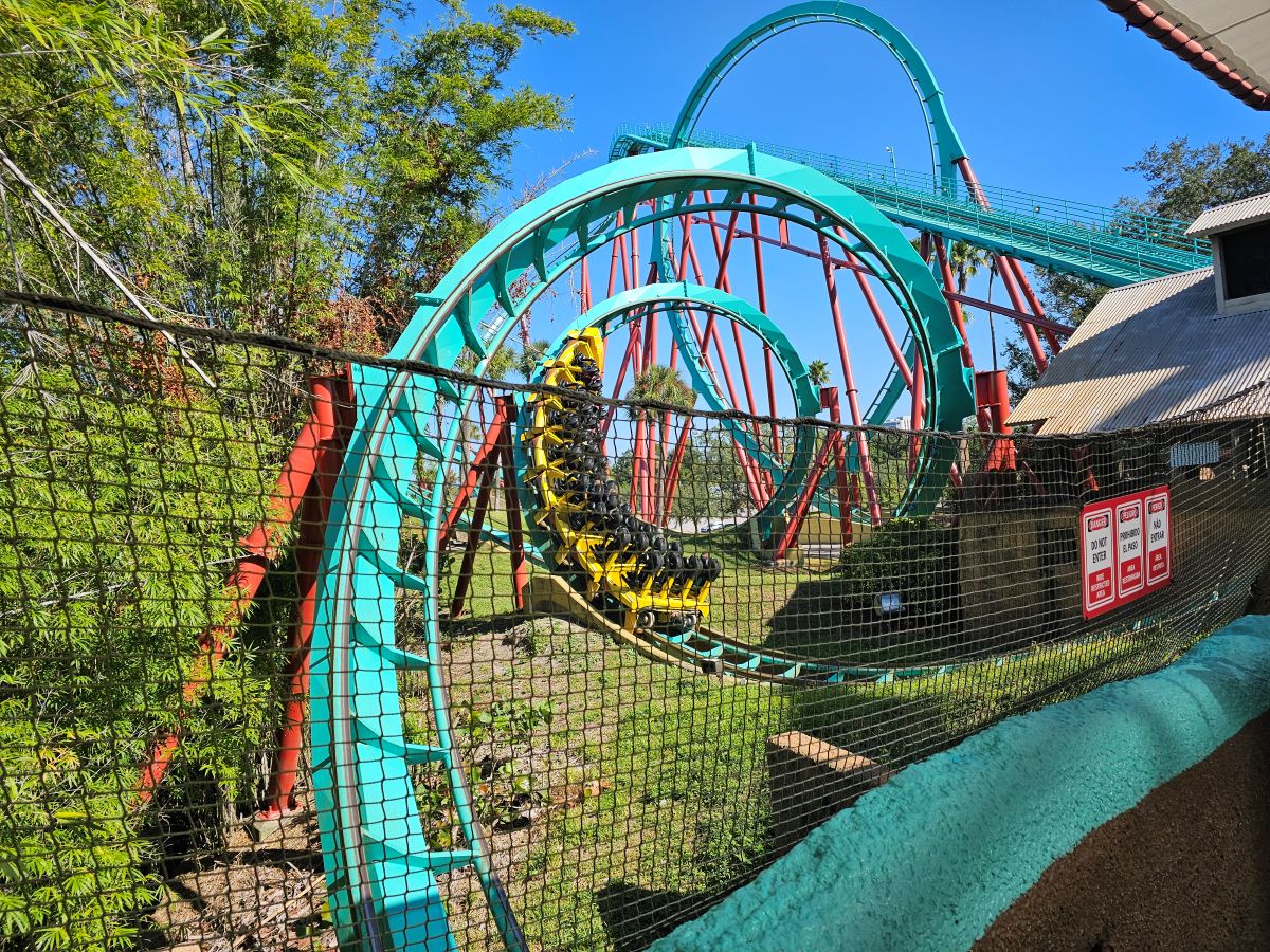 A yellow and black coaster train maneuvers through the teal steel track of Kumba's signature corkscrew elements at Busch Gardens Tampa Bay before Kumba closing.