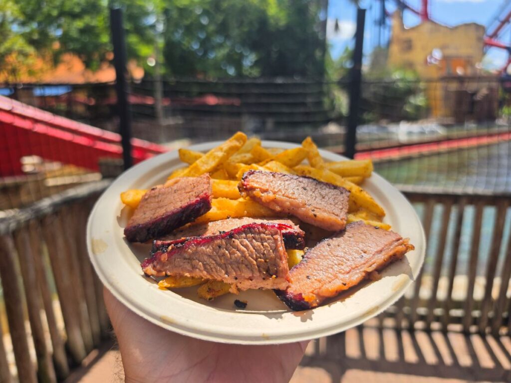 A hand holding a meal of Texas Style Brisket and fries outside in the sun at Busch Gardens Tampa Bay.