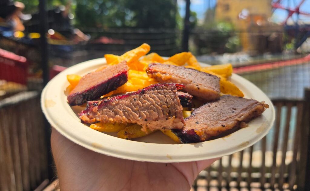 Close-up of a portion of Texas Style Brisket and fries on a plate held outside near a roller coaster track at Busch Gardens Tampa Bay.