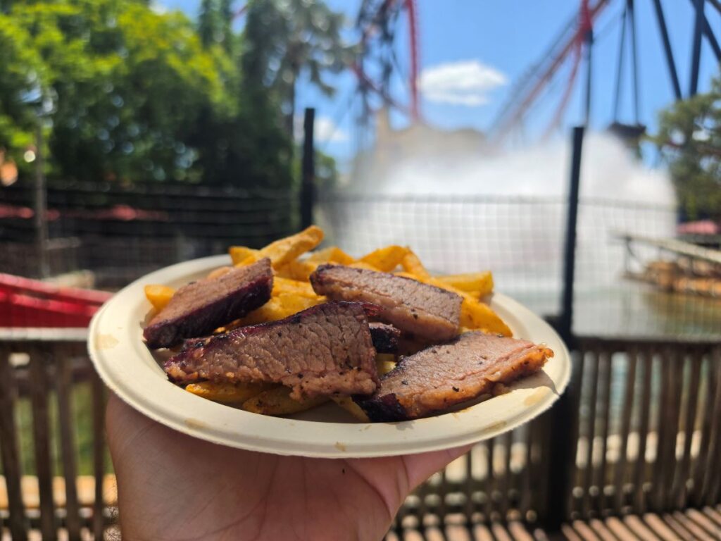 Sliced Texas Style Brisket and seasoned fries held in front of a fading water splash from a ride