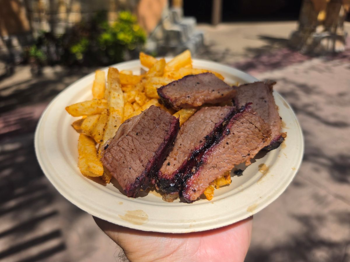 A close-up view of a paper plate filled with sliced Texas Style Brisket and seasoned french fries outdoors at Busch Gardens Tampa Bay.