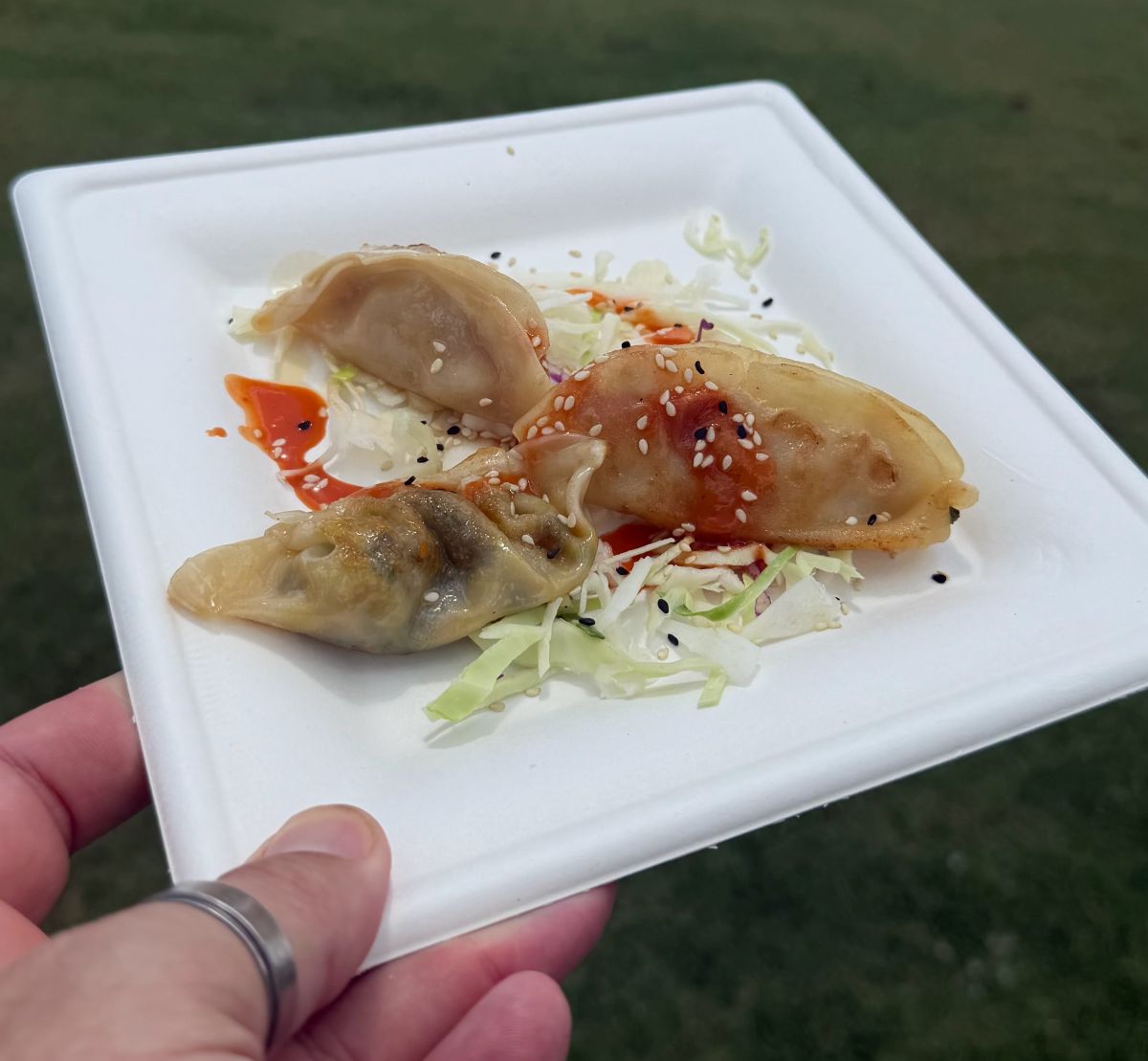 Dumplings Trip Food & Wine Fetsival