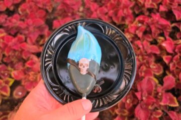 Top-down view of a Hades Cake Pop on a black plate against red foliage.