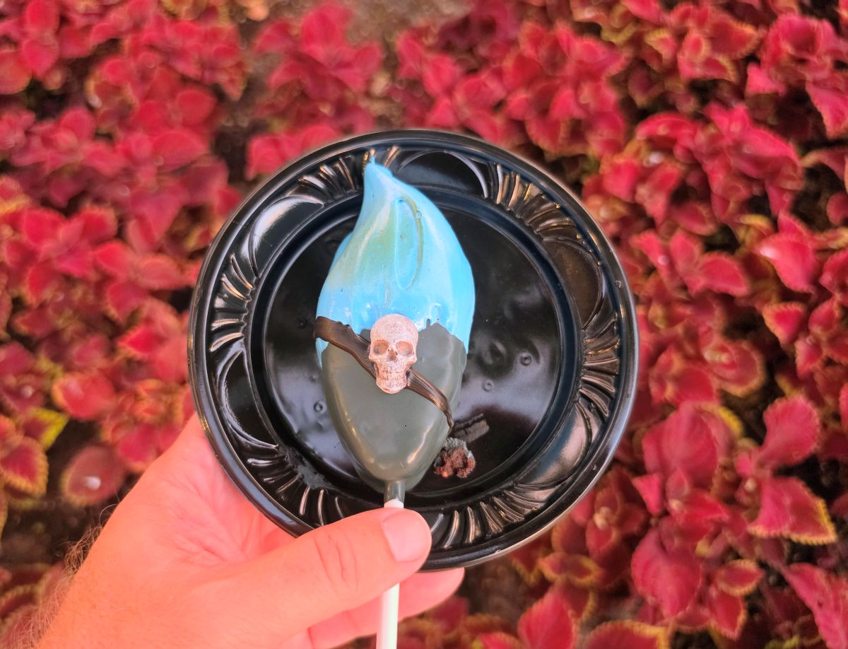 Top-down view of a Hades Cake Pop on a black plate against red foliage.