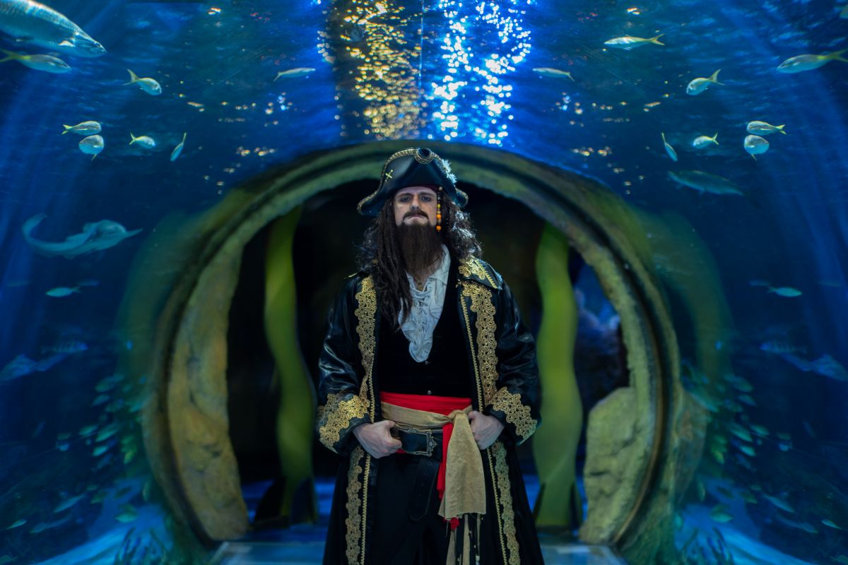 A man dressed as a pirate with a long beard and hat stands in an aquarium tunnel surrounded by blue water and swimming fish on all sides of him for Sea Life Orlando Halloween event